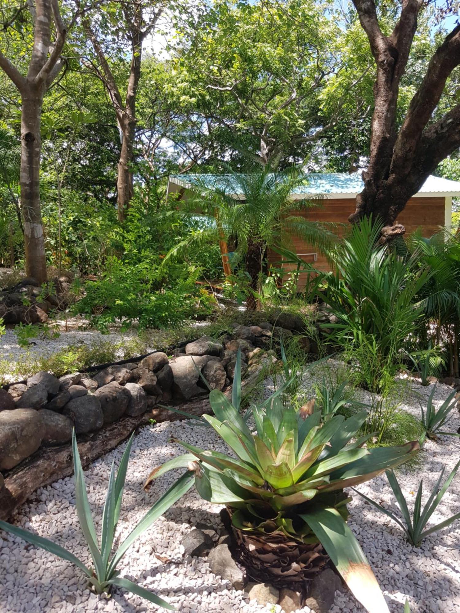 Baliyana Lodge San Jose Pinilla Exterior photo
