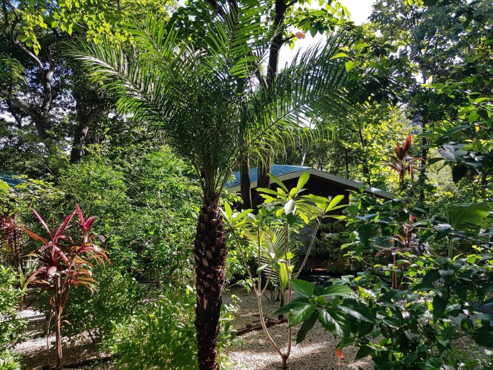 Baliyana Lodge San Jose Pinilla Exterior photo